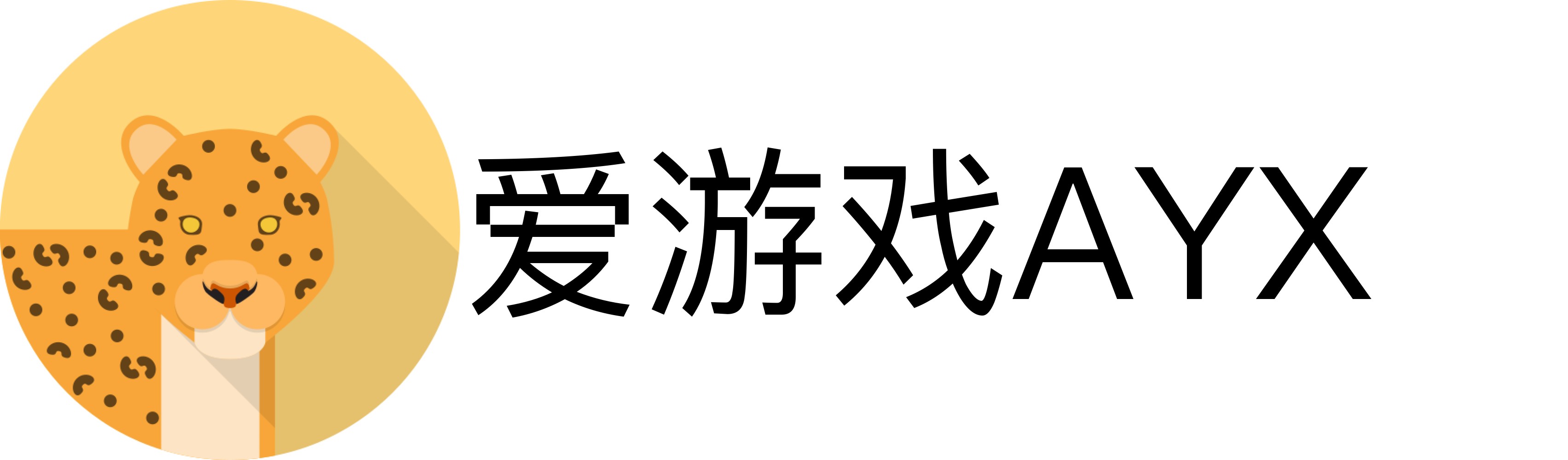 爱游戏AYX